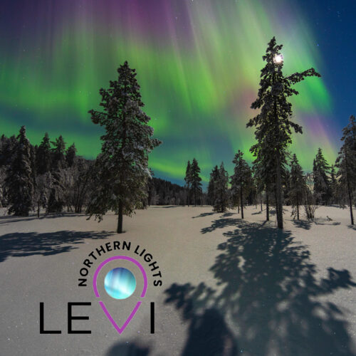 Exclusive Northern Lights Tours in Levi