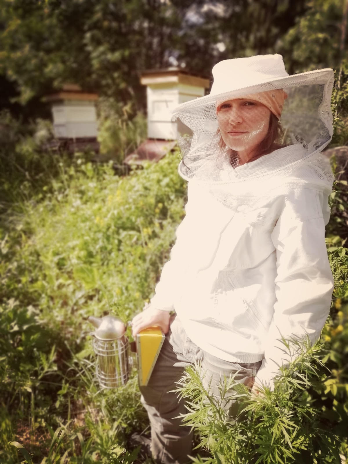 Hunaja Pehmeä & Inkivääri / Finnish Honey - Soft & with Ginger 2 x 330g - Image 2