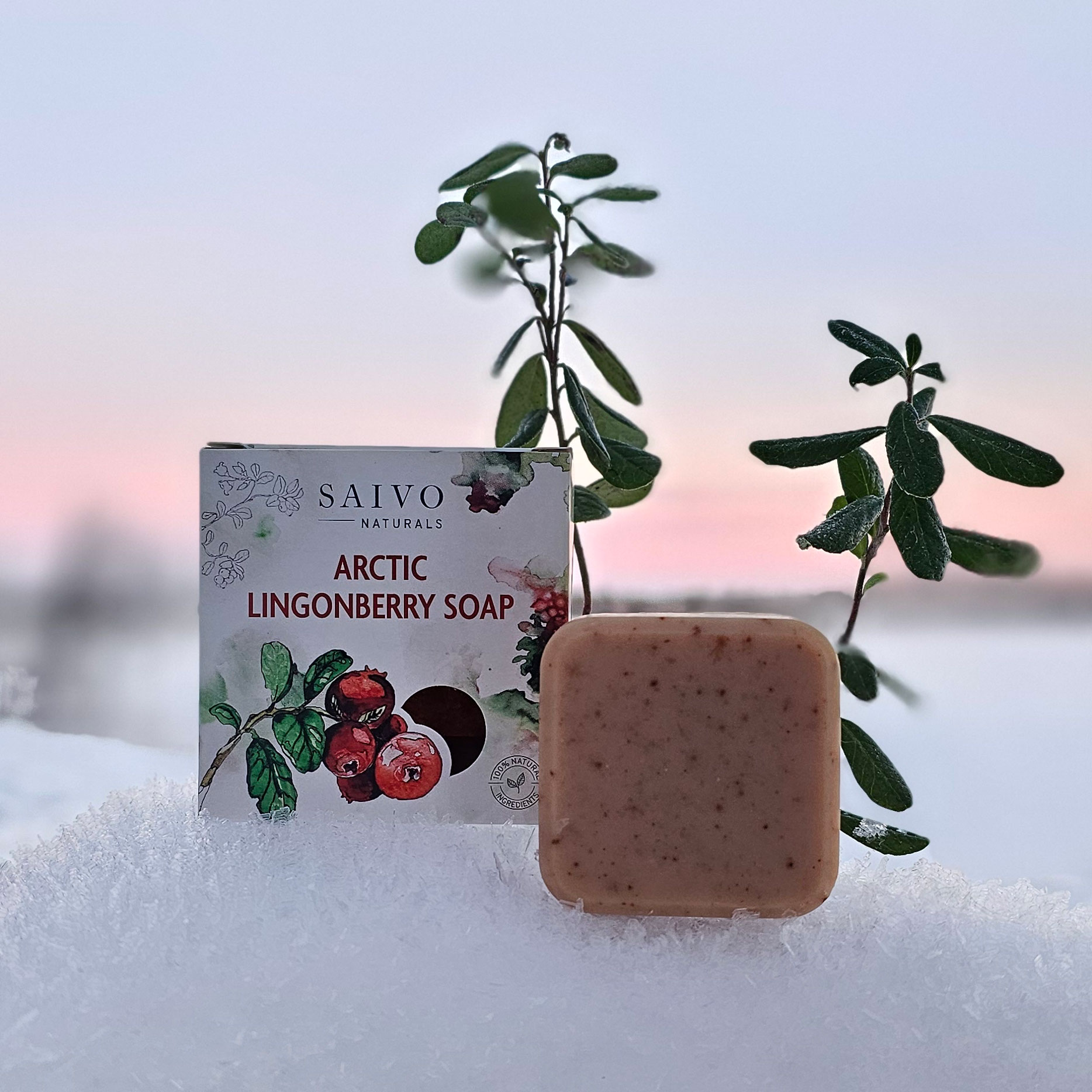 Arctic Lingonberry Soap