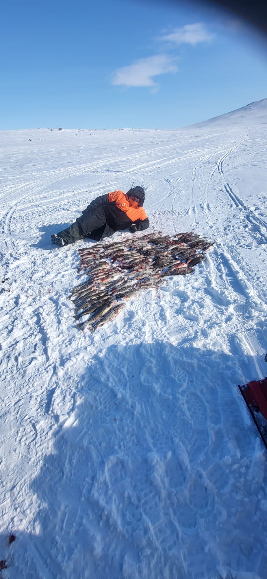 Elämysmatka erämaahan, Ruotsin Rostujärven ympäristöön - Image 4