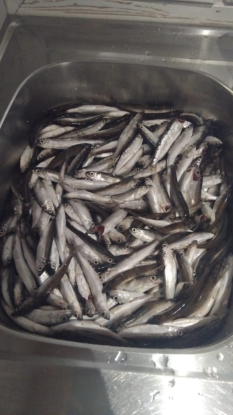 Kalastusta Jerisjärvellä - Image 2