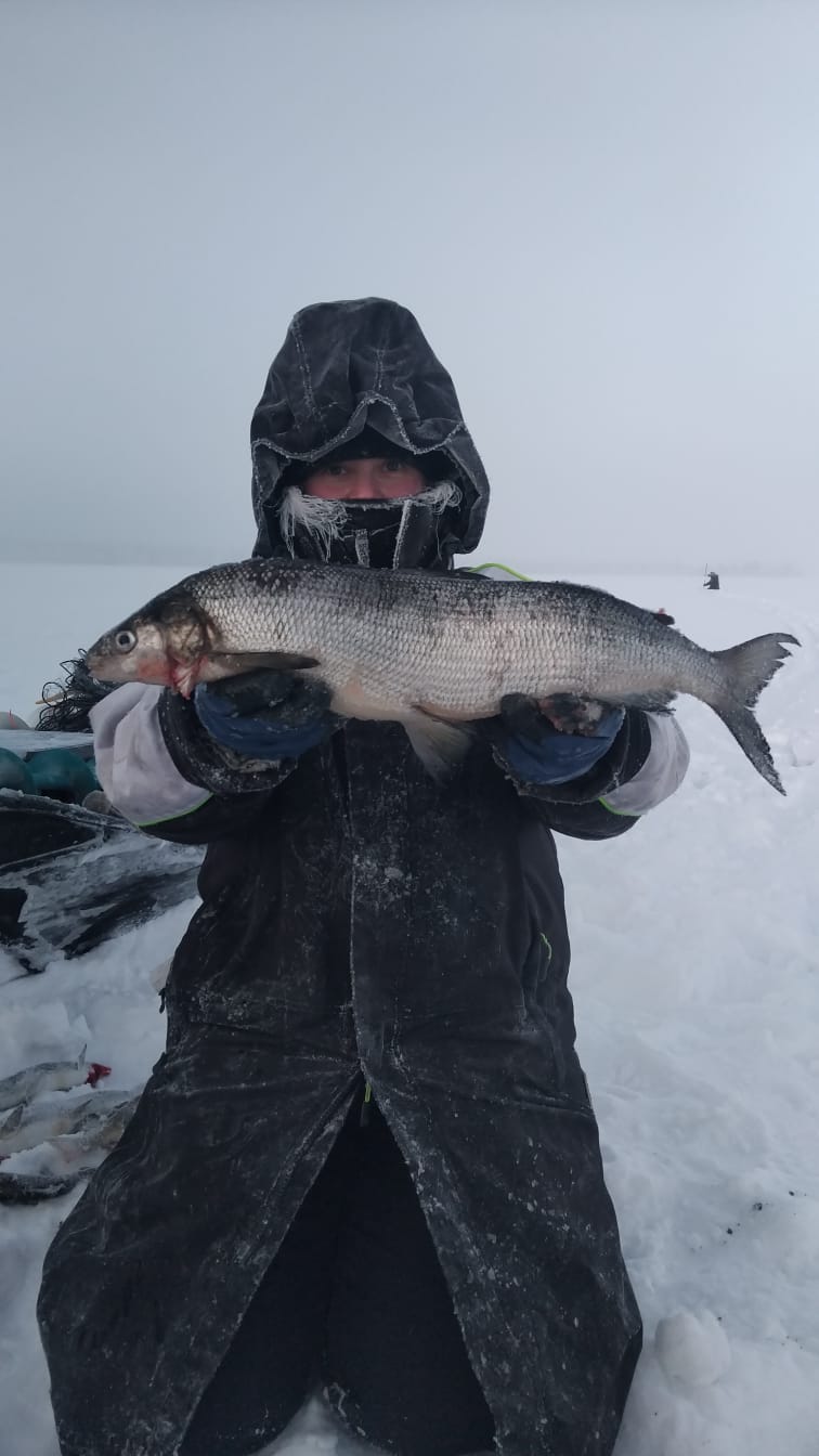 Kalastusta Jerisjärvellä - Image 4