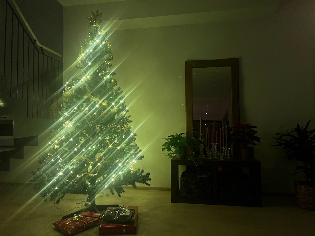 Plastic Christmas tree for Levi cottage, rental period 22.12.25-29.12.25