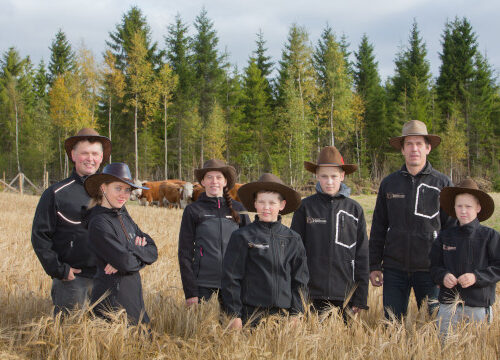 Hereford naudanlihaa