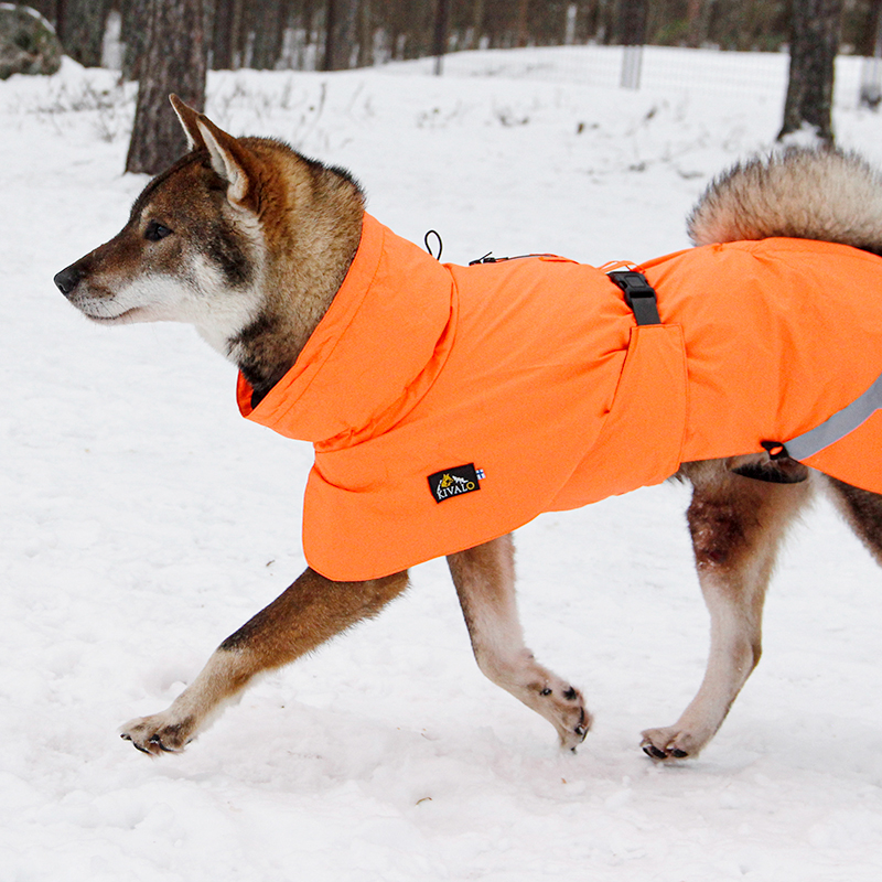 Kivalo koiran takki Ohto - Image 4