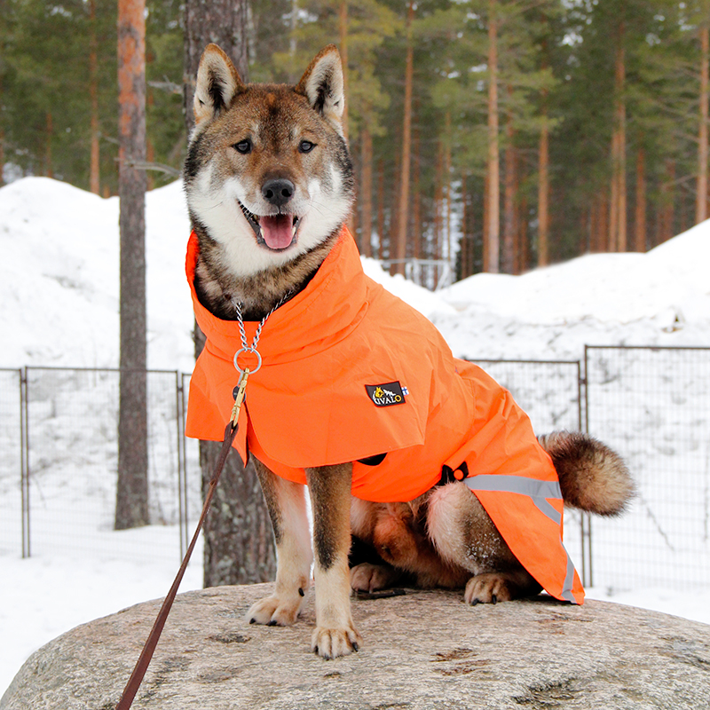 Kivalo koiran takki Ohto - Image 5