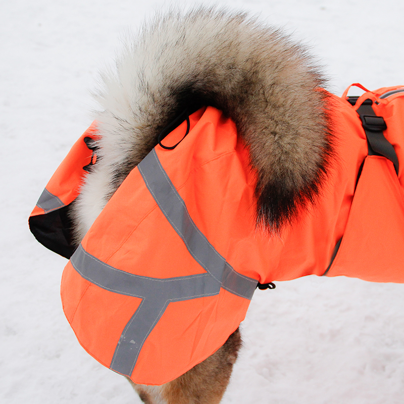 Kivalo koiran takki Ohto - Image 6