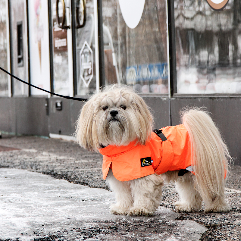 Kivalo koiran takki Ohto - Image 7