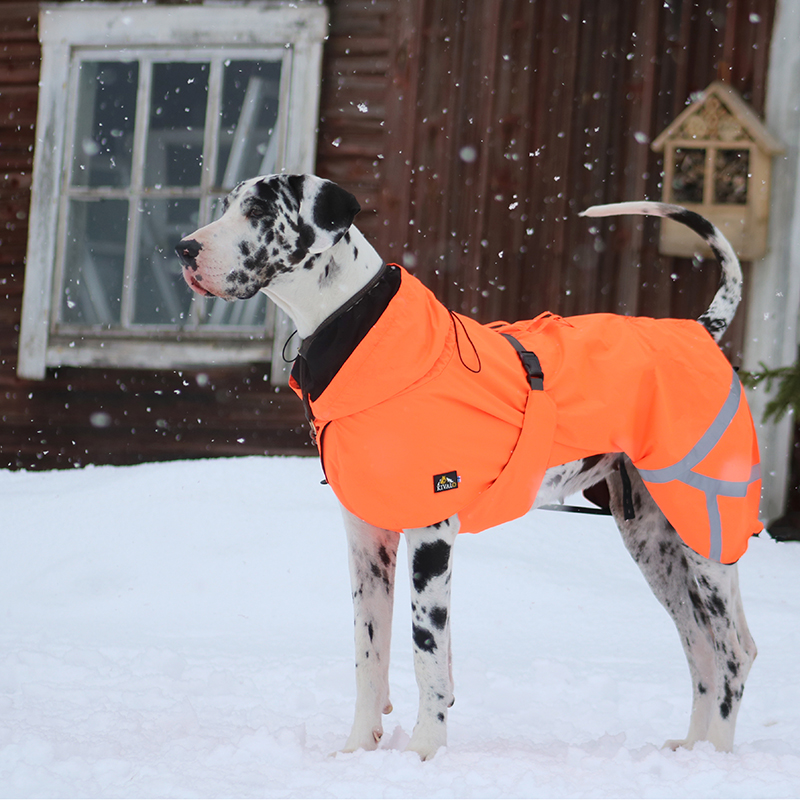 Kivalo koiran takki Ohto - Image 12