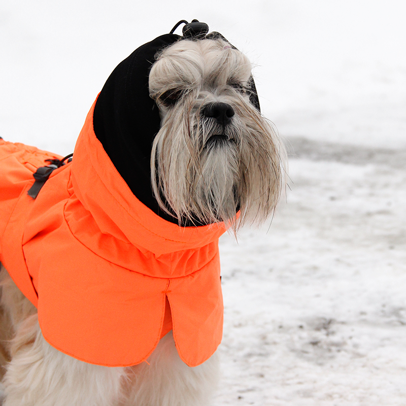 Kivalo koiran takki Ohto - Image 9